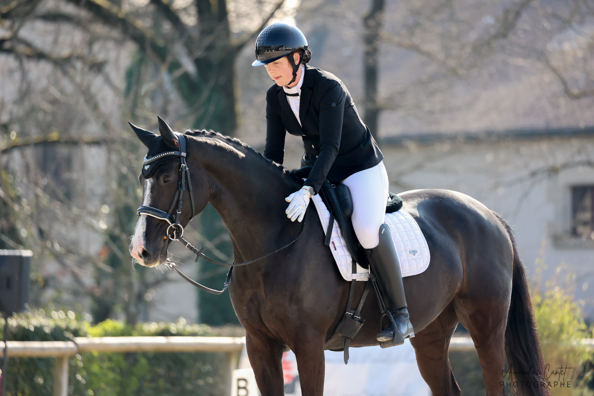 Signe d'affection au cheval après la reprise