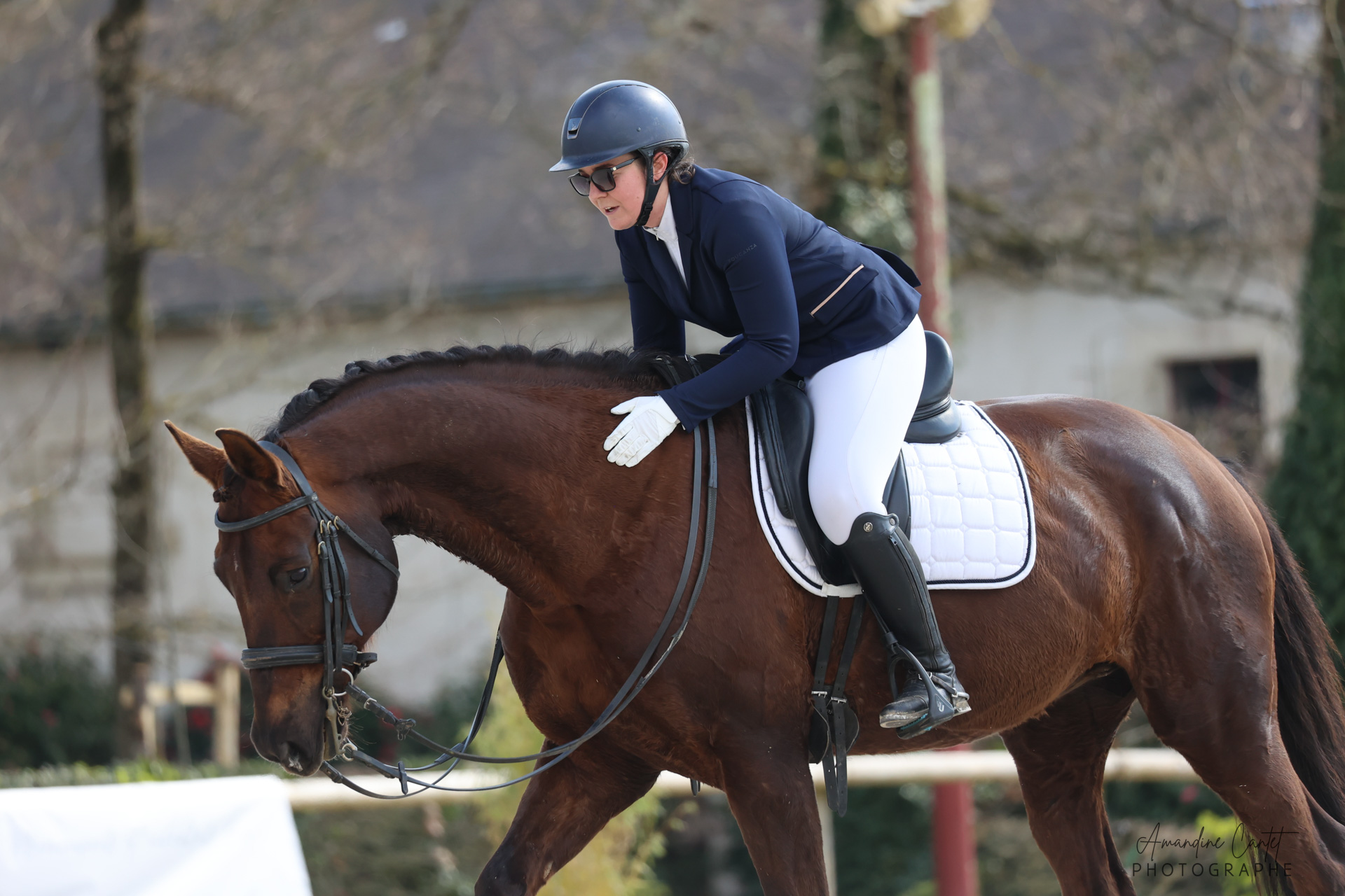 Cavalière félicitant son cheval