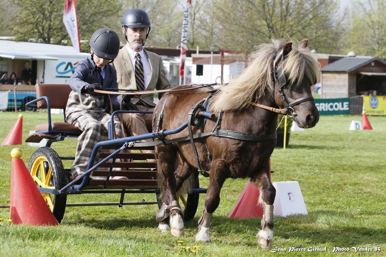 Événement équestre Vendée EquiEvents